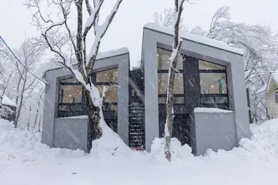 Image de Origami Twins