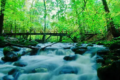 Image de Idyllic vacation home Lapland