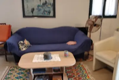 Image de Cozy studio apartment in the middle of a large garden. Have dogs.