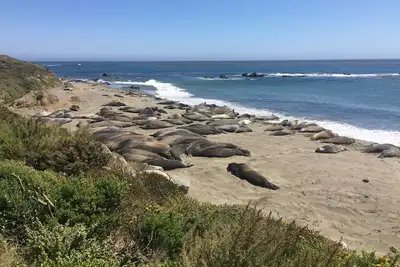 Image de Ocean & Sunset Views! 3 Decks, Short 2 block Walk to Tide Pools! Marine Terrace!