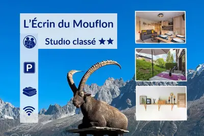 Image de Cosy studio, idéal détente, rando, Vtt et ski