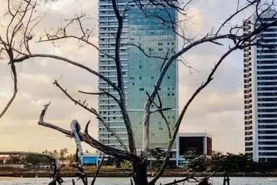 Image de Luxury Paiva Flat