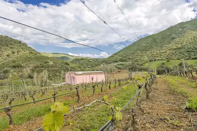 Image de Farmhouse tra i vignetti del Cannonau di Jerzu