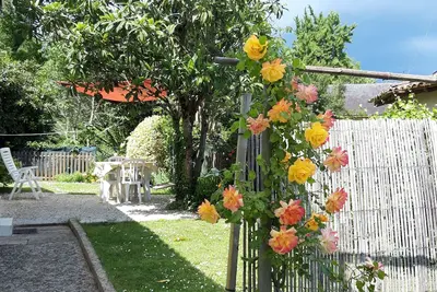 Image de \"NÉFLIER\" en Dordogne, entre Saint-Émilion et Aubeterre-sur-dronne