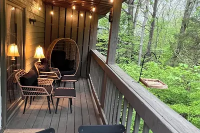 The Eagle's Nest & Bird Watching