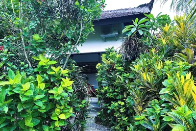 Image de 1-Br Ubud Villa - The Headlines : Cozy villa in enchanting Bali with Ac, WiFi