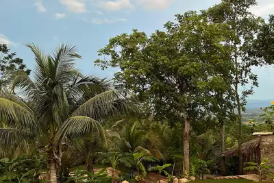 Image de Amazon Paradise WiFi Starlink Work or Relax