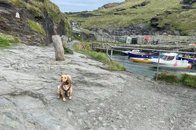 Image de 2 bedroom cottage: private parking, by harbour, pubs. Boscastle - North Cornwall