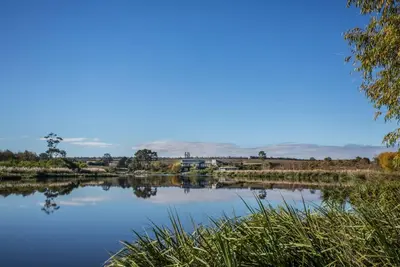 Image de Where wine meets the sky- Elgin's finest private estate