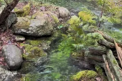 Image de Manitoulin Island-Gorgeous Lakefront Cedar Cottage & Bunkie
