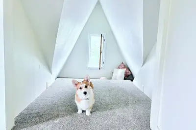 Image de Perry Pup House – Vintage Charm, Dog-Friendly, Walk to Cafés/Brewery