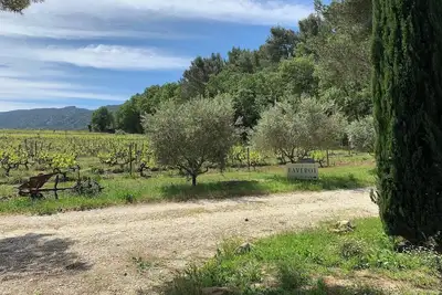 Image de Gîte Amandier - au sein du mas provençal du Domaine Faverot