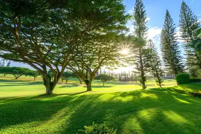 Image de Kapalua Golf Villas | 2 Free Rental Cars | Kbm Resorts | Beautiful Remodel | 2 Units, 4 Bedrooms | Kgv Ml-1125