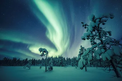 Image de Sleep Under the Northern Lights - Skog Aurora Igloo - Kalix