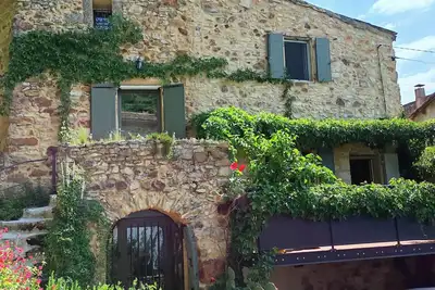 Image de Un pied dans la forêt