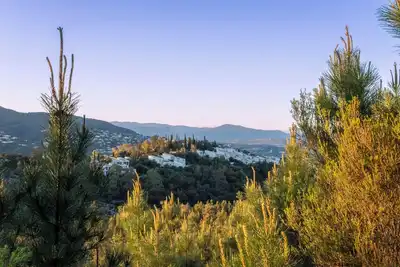 Image de Appartement avec terrasse au calme dans l'Estérel, piscine, tennis et pétanque