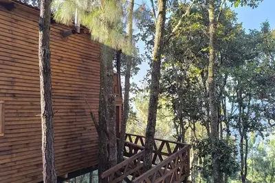 Image de Cabin in San Jose del Pacifico Forest 5
