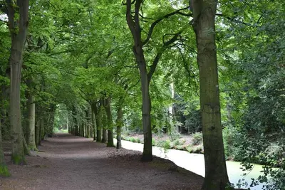 Image de Explore Bergen w/ Onsite dining | Bike-Friendly Stay Near Dunes & Forest Paths