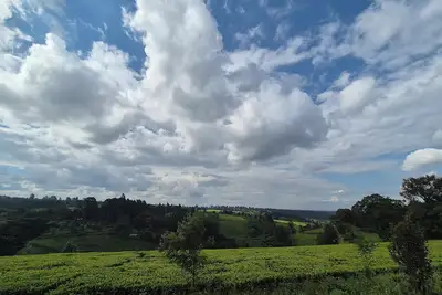 Image de A farmhouse within the Tea farm estates