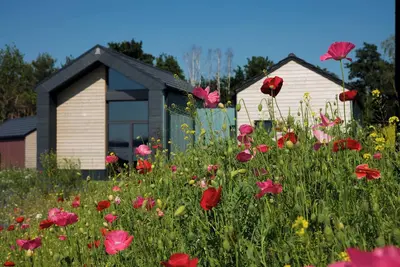 Image de Bio-Seehotel Chalets at the Zeulenrodaer Meer in the Thuringian Vogtland