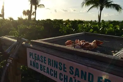 Image de Relax in Peaceful Paradise Directly on the Beach