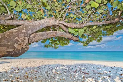 Image de Windsong 2 Stunning Villa-4 Unit Complex-Boggy Sand Rd-gated access to Smb