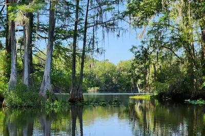 Image de Wise Owl Retreat, a beautiful suite amongst towering oaks, on the River.