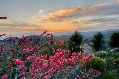 Image de A Gentleman Farmer's Dream with a View in Temecula