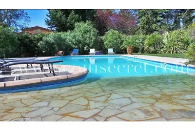 Image de Les Muscades