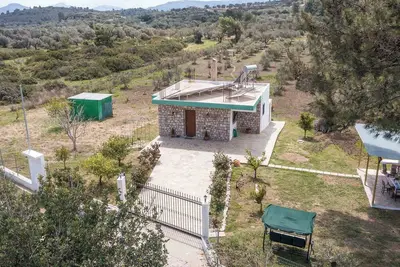 Image de Petrino Eco Conscious Living