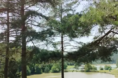 Image de KaiTea Suites, útočiště klidu a relaxace v srdci lesa u přehrady.