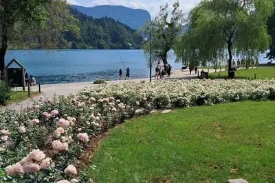Image de Room with a View-Lakeside