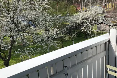 Image de Zinnowitz Kiefernweg 5 We 08 on the 1st floor - We 08 on the 1st floor