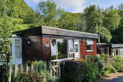 Image de Caban Dyfi – A tranquil, dog-friendly woodland escape near Aberdovey, Wales