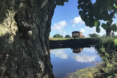 Image de Hollie, family friendly, with a garden in Raglan