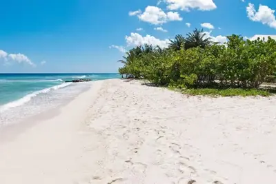 Image de Tropical Paradise On The Beach