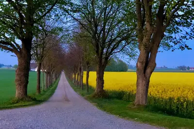 Image de Fresh and comfortable farmhouse in idyllic village environment in Österlen. Private sunny patio