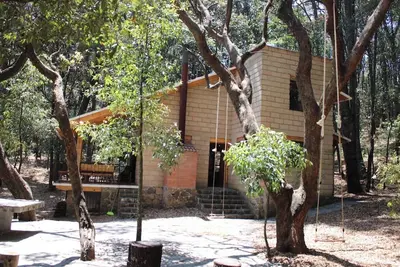 Image de Cabin immersed in 1 hectare of forest. Maximum Internet power (Starlink)