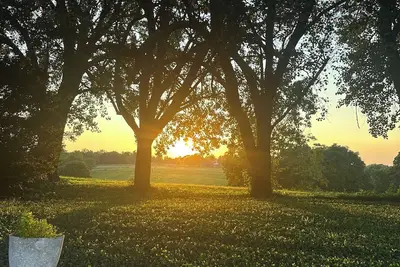 Image de Listing Removed