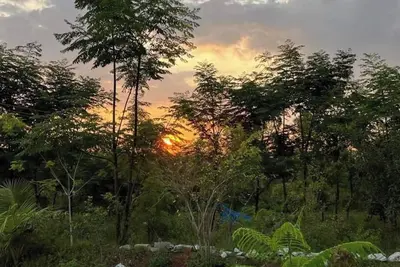 Image de JoE- Amidst Nature campground in Thalikothanur - Campsite 3
