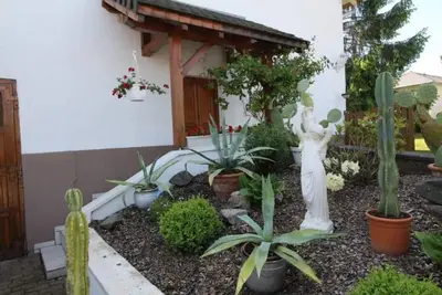 Image de Gîte Le Havre Blanc entouré d’un immense parc clos