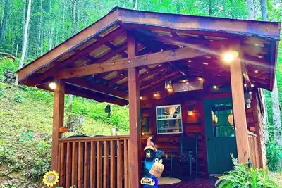 Image de Little Bear Tiny Cabin in The Forest