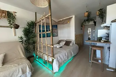 Image de Les Cocotiers vue mer 250 plage