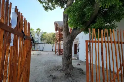 Image de TäTá Holbox Temple - 444