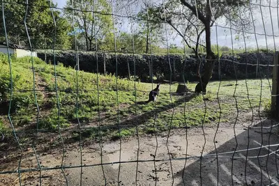 Image de Magnifique mobile home tout confort au bord de l'océan