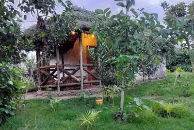 Image de Podocarpus Cottages -02