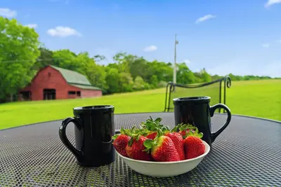 Image de Roomy - Sunroom - Near Wedding Venues  - 9 Acres