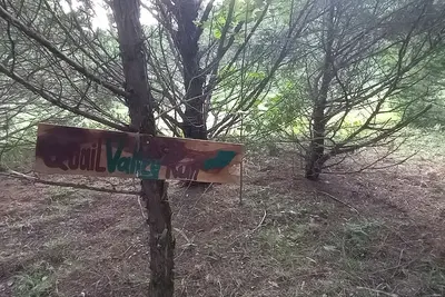 Quail Valley Run @ B Berry Farms