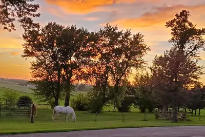 Image de Escape to tranquility – your countryside haven, and at times with a horse or two