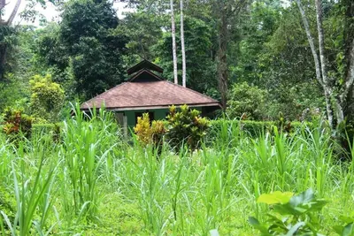 Image de Wild nature - 300 m from the beach 5 person house.
